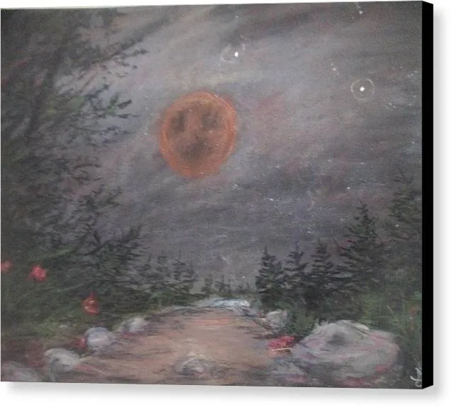 Midnight Awakening - Canvas Print